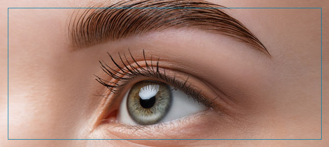 Brow Lift Procedure Near Me in Fairfax VA